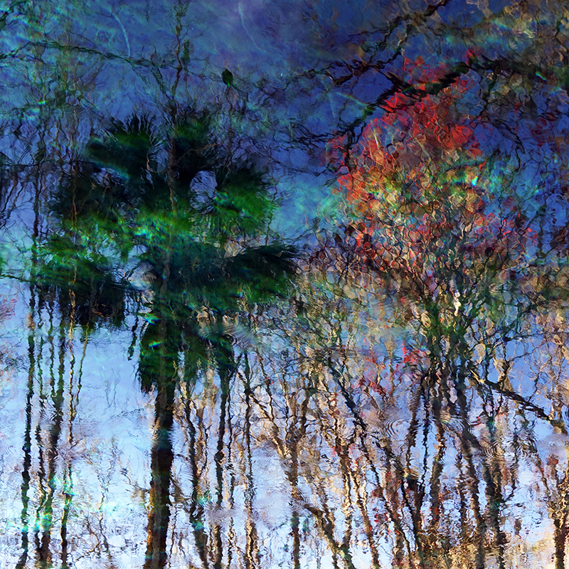 Dunlap, Silver River