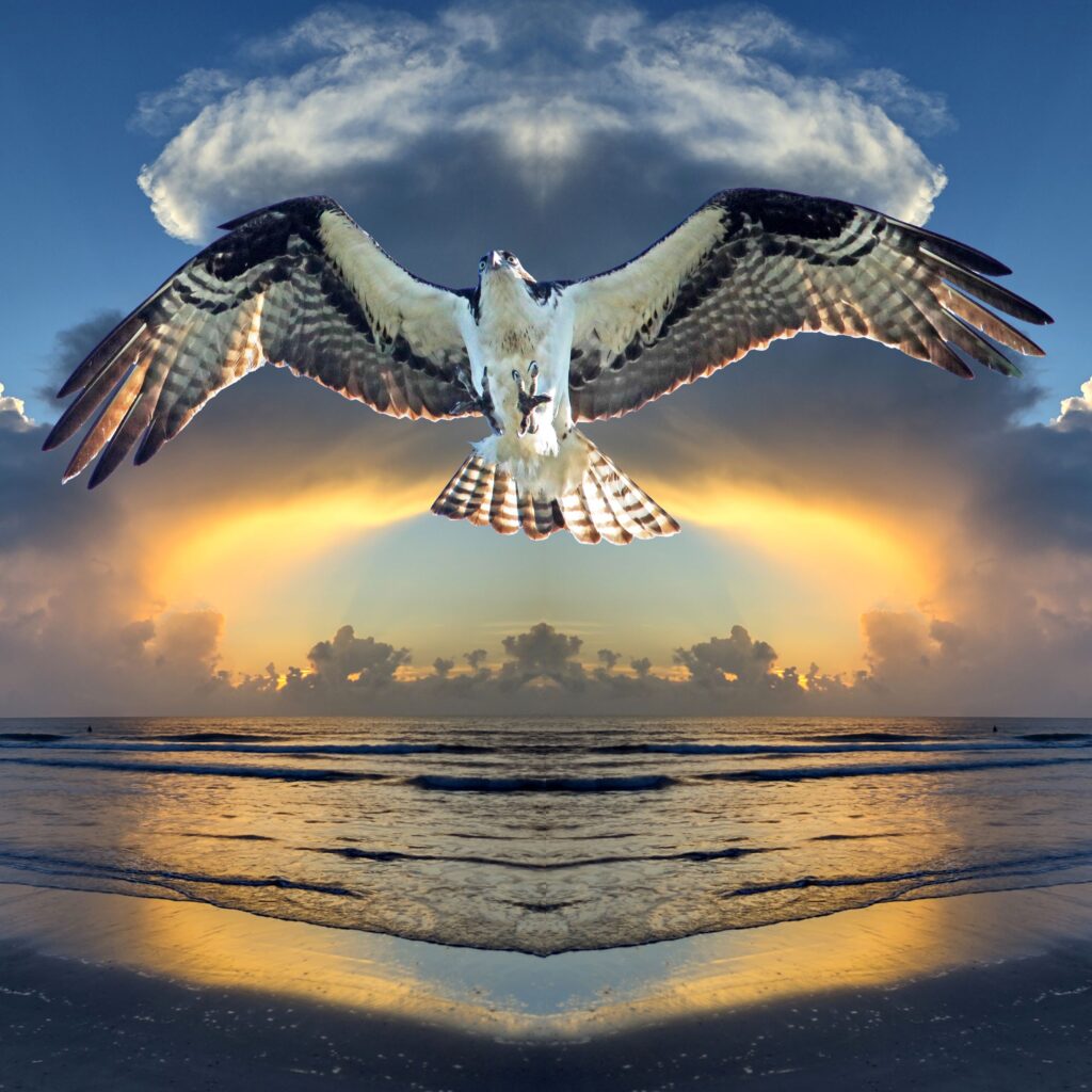 Osprey Cloud Bridge copy website